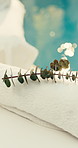 Spa, empty and towel with eucalyptus at resort for aromatherapy, skincare treatment and wellness. Pamper, background and plant for herbal scent, holistic therapy and stress relief for calm massage