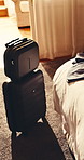 Luggage, bags and empty hotel room for business trip, international event and abroad for conference. Suitcase, hospitality and accommodation in motel for overseas work, job convention and travel.