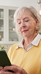 Texting, digital and senior woman with phone, online communication and notification on chat app. Contact, typing and elderly person with tech, message update and internet search on virtual platform.
